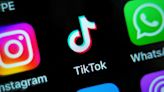 Sur TikTok, la toute-puissance de la « trend »