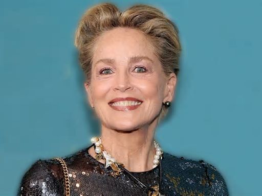 Sharon Stone, demandada por conducción temeraria y herir a una mujer en un accidente de tráfico