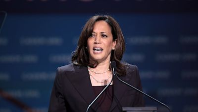 Donald Trump Blames Stock Market Plunge on Kamala Harris, Dubs It the 'KAMALA CRASH' - EconoTimes