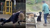 Trespassers do press-ups, pose with pets and place rocks on live train tracks in shocking Network Rail compilation
