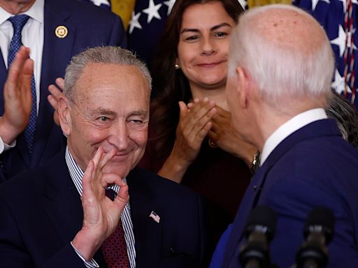 Schumer keeps doubts about Biden private, won't undermine POTUS publicly, Democrats say: report