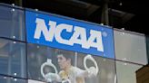 NCAA Committee on Infractions member resigns over association's transgender athlete policy