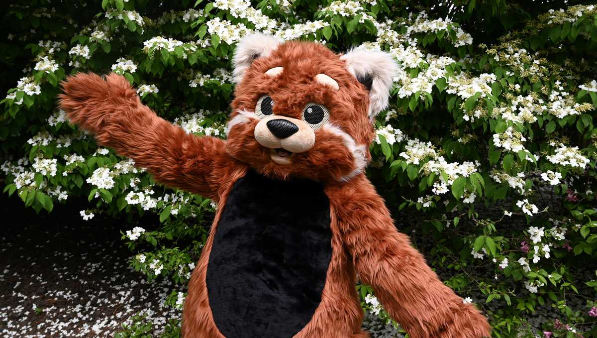 Meet Pittsburgh Zoo's new mascot: You can help pick their name