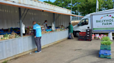 On your bike for free treats at the Letterkenny Farmers Market! - Donegal Daily