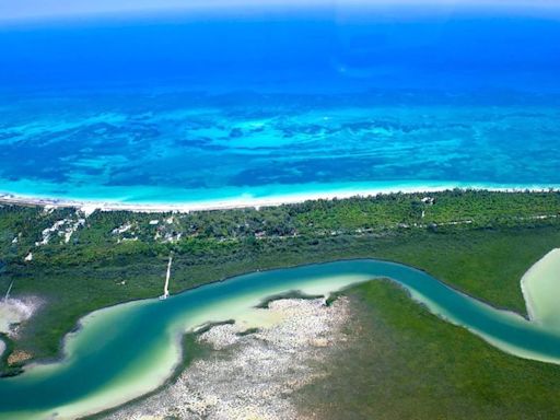 Quintana Roo está en el Top Ten de lugares a visitar este 2024: Wall Street Journal | El Universal