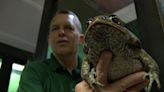 A reptile zoo in southeastern Minnesota celebrates 15 years of captivating visitors