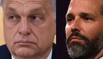 More Legal Woes For Trump: Donald Trump Jr. Accused of Breaking the Law During His Meeting With Hungarian Leader Viktor Orban