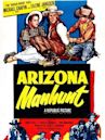 Arizona Manhunt