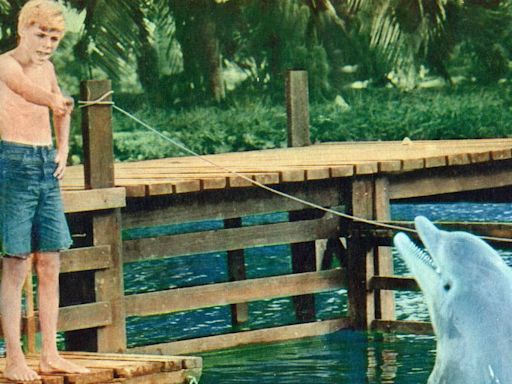 'Flipper': 7 Awesome Facts About the 1964 Dolphin TV Show