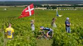 'Then it's gone forever:' AP photographers race to capture fleeting Tour de France scenes