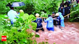 70 picnickers stranded at Goa waterfall after rain rescued | India News - Times of India