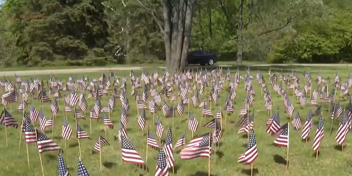 Victory in Europe Day commemorated with flags for Lansing’s fallen soldiers