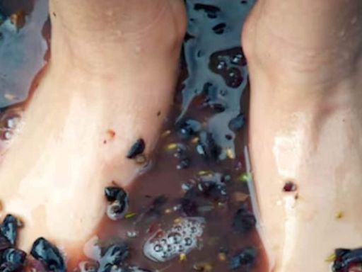 Foot Model Crushes Grapes Bare Feet, Prepares Wine And Sells It At Rs 10,662 - News18