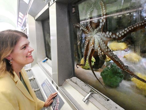 New Belle Isle Conservancy leader wants to make park 'a destination year-round'