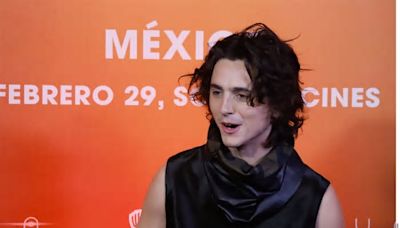 Construye Timothée Chalamet una sólida carrera