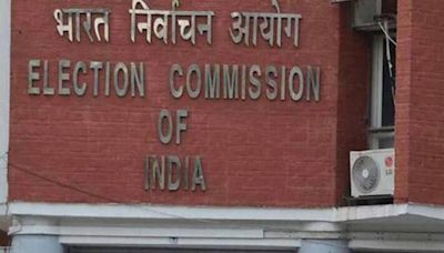 Action taken in 3 booth capturing complaints in 2024 polls: EC