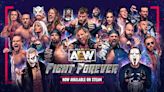 AEW Fight Forever guide: everything we know so far