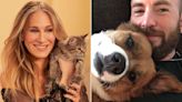 7 Stars Who Adopted Pets from Sets