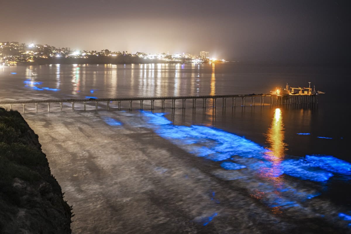 Red Tides Off Southern California Coast Are Getting Worse, New Scripps Study Finds