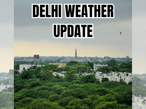 Delhi To Witness Showers Today With IMD Predicting Week-Long Downpour