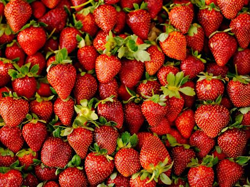 The Only Way To Store Strawberries So They Last, According To Experts