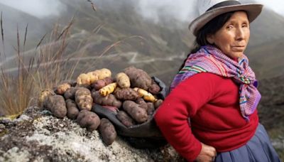 La papa y su origen en Perú: científicos descubrieron cuándo y en qué lugar se cultivó por primera vez