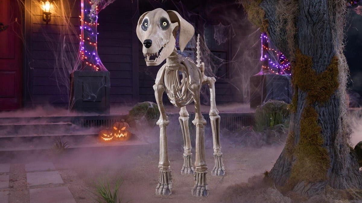 Home Depot's 7-Foot Skeleton Dog Just Restocked in Time for Fall