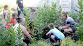 Summer is for growing: Green Thumbs Club keeps Lincoln Elementary students engaged