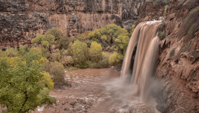 Are Grand Canyon Deaths On The Rise? Fatalities Already Nearing Annual Average