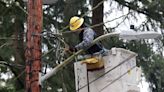 Tips to prepare if you’re worried about a Seattle-area power outage