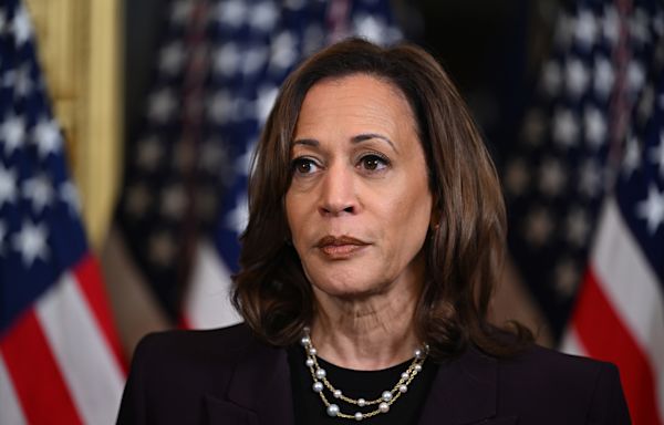 Netflix co-founder's massive Kamala Harris donation sparks boycott calls