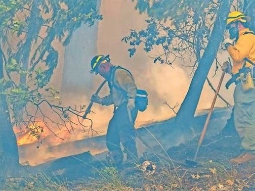 Miles luchan vs incendios en EU y Canadá