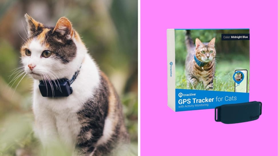 Amazon Pet Day: Save 40% on the Tractive GPS tracker for a limited time