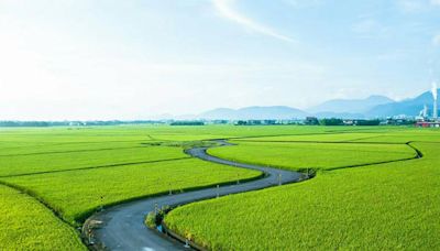 台北宜蘭包車旅遊推薦，好評龜山島賞鯨行程