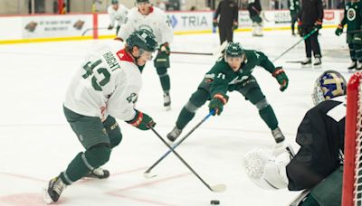 Development Camp Preview | Minnesota Wild