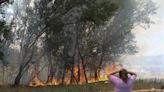 Dos fallecidos y bosques arrasados, balance de incendios que no dan tregua en España