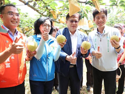 苗栗內灣灌溉工程動工 高接梨產地受惠