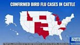 Bird Flu in America: Assessing the Threat of a New Outbreak