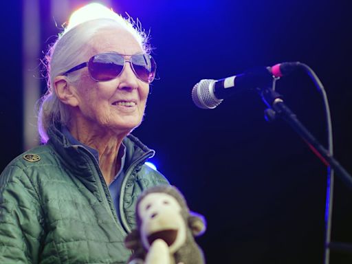 Dr Jane Goodall: We really are going through tough times all over the world