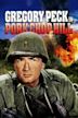 Pork Chop Hill (film)