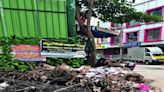 Wooden logs not cleared by BBMP amidst heavy rains