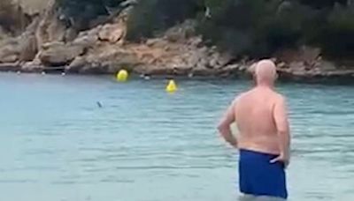 Brits terrified after shark circles family at popular holiday spot