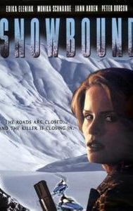 Snowbound (2001 film)