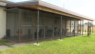 Animal control seizes 68 animals from home in Wexford County