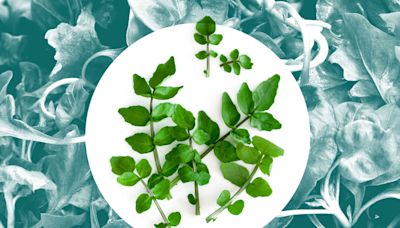 How to Buy and Use Watercress, the Healthiest Vegetable According to the CDC