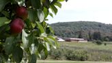 30 farms, orchards to pick your own Hudson Valley apples