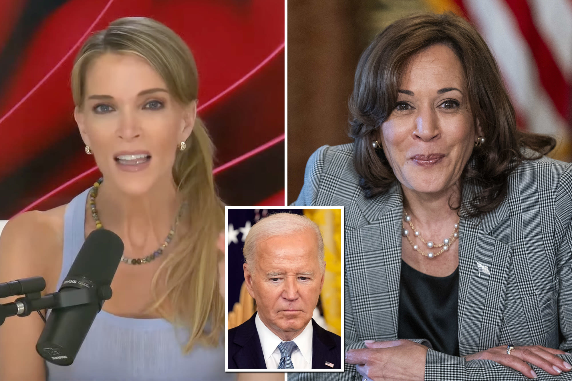 Megyn Kelly on Kamala Harris: ‘America is not going to elect this nimrod as its first female president’