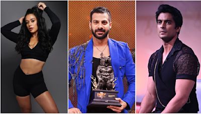 Khatron Ke Khiladi 14 Winner: Age Gap Between Karanveer Mehra & Other Finalists Gashmeer, Krishna - DEETS