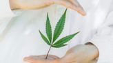 Justice Dept plans to reschedule marijuana as a lower-risk drug
