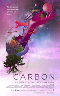 Carbon - The Unauthorised Biography